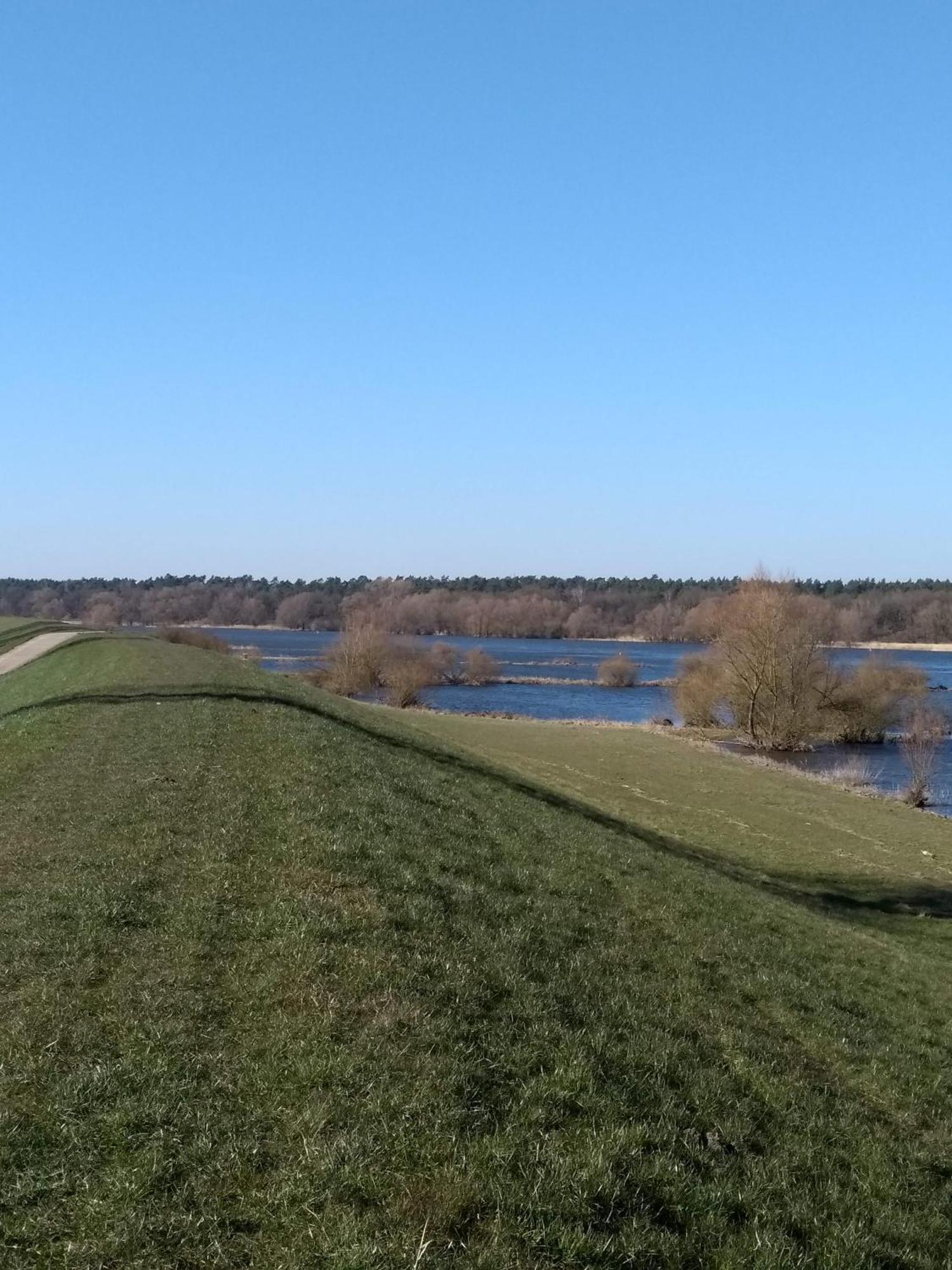 Kroetenhof Barfoerde Appartamento Barforde
